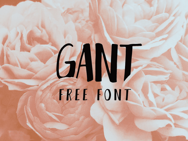 GANT FREE FONT brush font freebie freebies freefont handmade handwrite type webfont