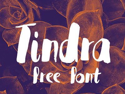 Tindra Free Font brush font free freebie freebies freefont handmade handwrite type webfont