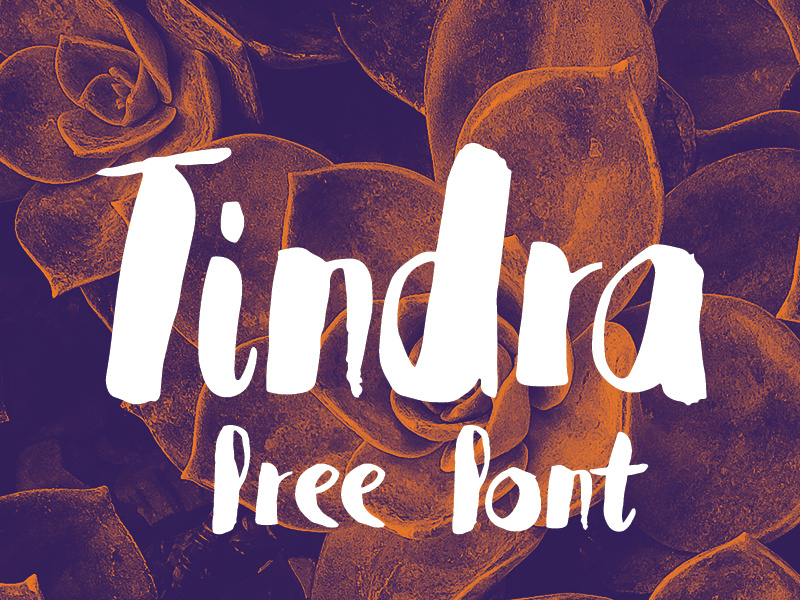 Tindra Free Font free handmade handwrite brush webfont type freefont font freebies freebie