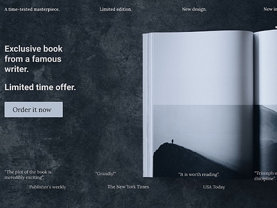 My Landing Page for a book dailyui design web