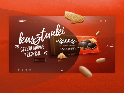 Wawel - landing page concept