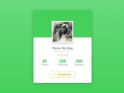 Daily UI #006 - Profile 006 dailyui