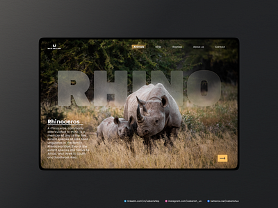 Having some fun with GlassMorphism Animal Love😍 - #1 Rhinoceros app deisgn daillyui daily ui challeng dailyui design glassmorphism graphic design typphgraphy ui uidesign user interface