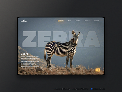 Having some fun with GlassMorphism - #2 Zebra app deisgn daillyui daily ui challeng dailyui design glassmorphism graphic design typography ui uidesign user experience user interface webdesign