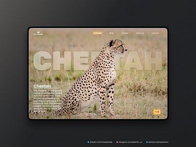 Having some fun with GlassMorphism - #4 Cheetah