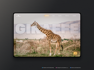 Having some fun with GlassMorphism  - #5 Giraffe