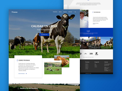 Friomax Diseño Web design ui web
