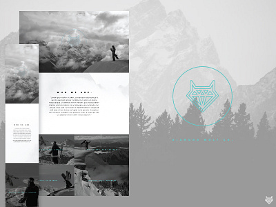 DWCO branding design diamond identity logo mountain ski snowboard ui web design wolf