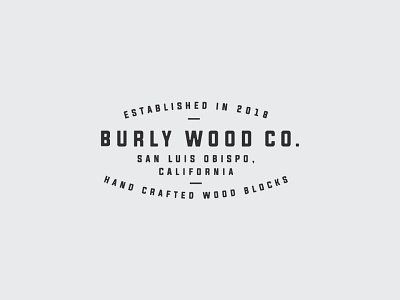 BWC badge brand identity letter lockup logo mark minimal sharp simple