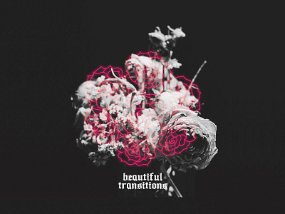 The Good Goods album cover brand branding cover art design flower identity music playlist rose spotify