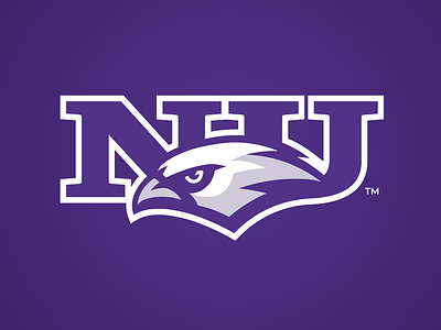 Niagara University Purple Eagles branding college sports eagle logo sports logo