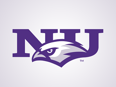 Niagara Purple Eagles branding college sports eagles logo sports logo