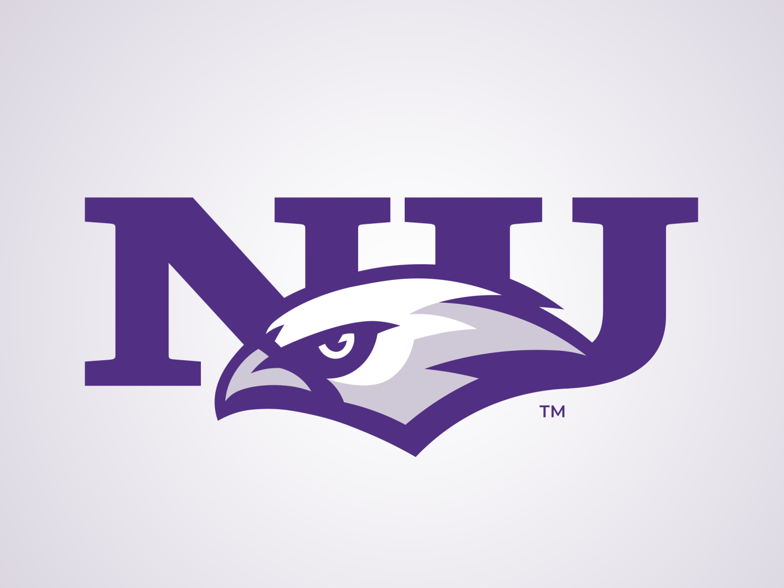 Niagara Purple Eagles by Dave Raffin on Dribbble