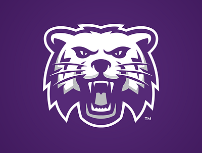 Bearcats Mascot Logo Concept branding college sports design illustration sports logo