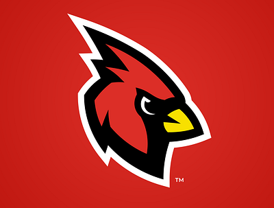Cardinals Mascot Logo Concept branding cardinals college sports design illustration logo sports logo