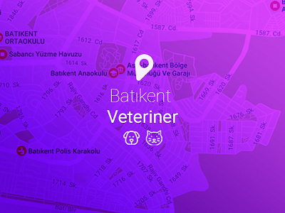 Our new customer a veterinarian - car design graphic map photoshop ux design