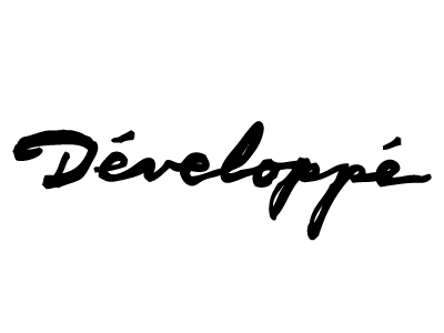 developpe branding logo logo design typography