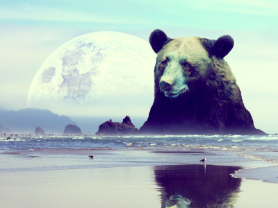 bear mountain photo manipulation photography surrealism