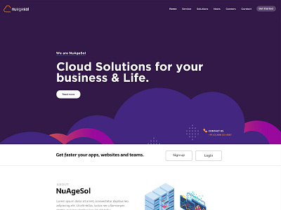 NuAgeSol Website Design website design