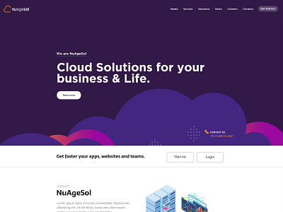 NuAgeSol Website Design