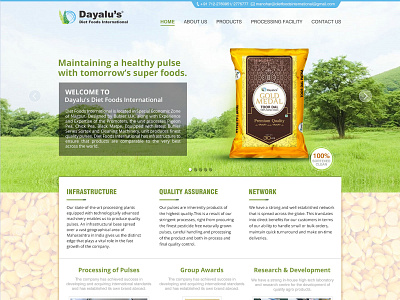 Dall Mil Website Design website design