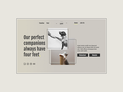 Paws design landingpage minimalistic ngo ui ux webdesign