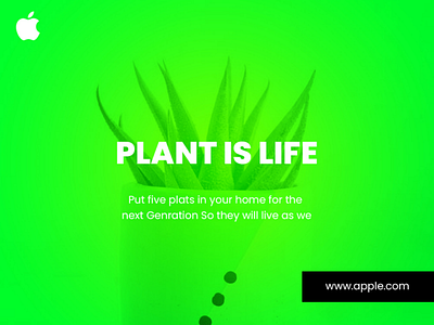 Plant by apple
