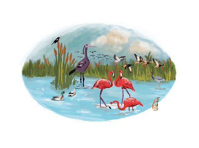 bird sanctuary birds childrens book digital paint illustration nature photoshop art