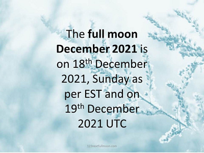 Full Moon December 2021 Cold Moon By Angela Rexario On Dribbble