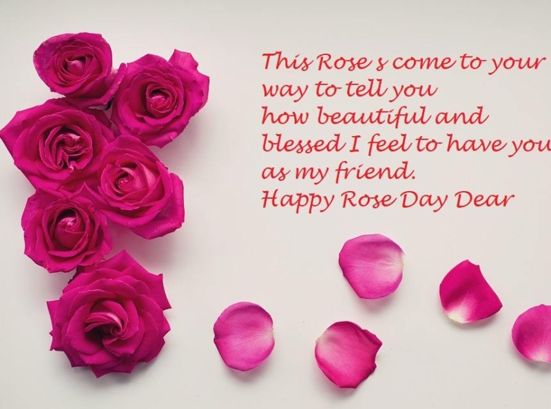 rose images with friendship quotes