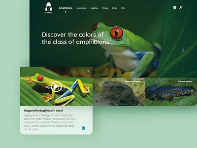 Landing page - FAUNA