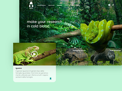 landing page - FAUNA