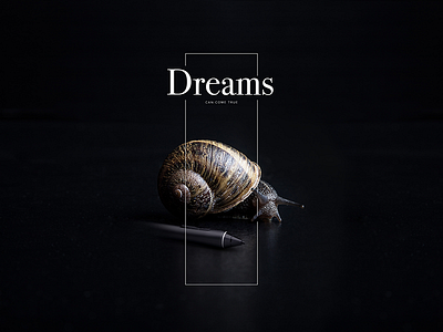 Dreams can come true art minimalistic snail tablet typography wacom