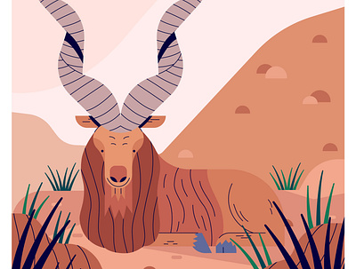 Markhor 2d animals goat illustration markhor nature vector wildlife