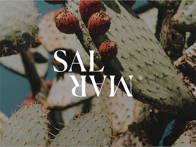 Sal Mar - Branding & Website Design