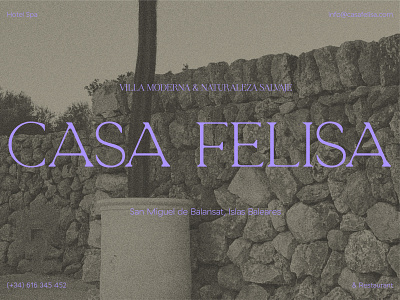 Casa Felisa branding design graphic design logo logodesign logotype mediterranean vector