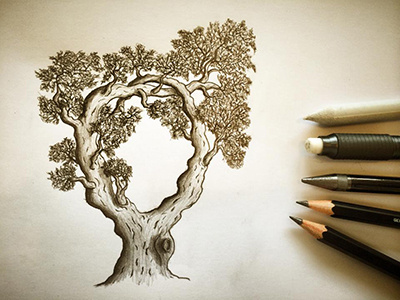 Tree drawing nature tree