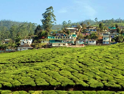 a serene view of munnar in kerala 201605 1463642236