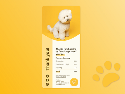 Daily UI 017 – Email Receipt 017 cat dailyui dailyui017 dailyuichallenge dog email email receipt pet pets receipt store ui ux warm yellow