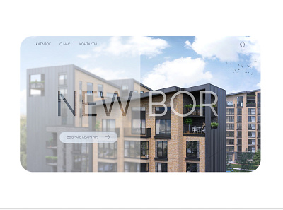 NEWBOR branding design ui ux