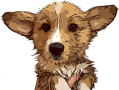 Good boy 1 animal commission cute illustration illustrator pet portrait illustration procreate