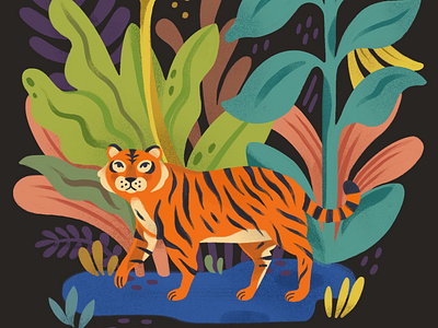 Little Tiger illustration