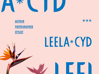 Leela Cyd identity