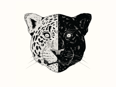 Day & Night animal illustration jaguar panther photoshop