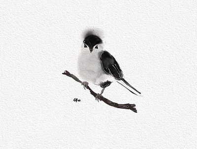 Black and White Birg bird bird illustration black blackandwhite design hand drawn illustration procreate ui