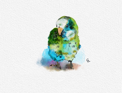 Polly bird bird illustration colorful design digital art hand drawn illustration illustration design procreate procreate art sketch sketchbook sketches