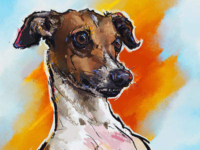 Portrait Illustration - Italian Greyhound digital art dog greyhound illustration italian greyhound pet photoshop portrait puppy