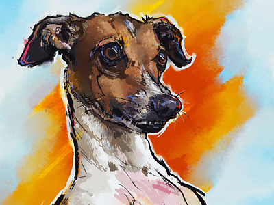 Portrait Illustration - Italian Greyhound