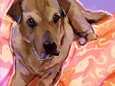 Sidney - Pet Portrait animal color commission cute digital painting dog illustration pet portrait pink portrait purple