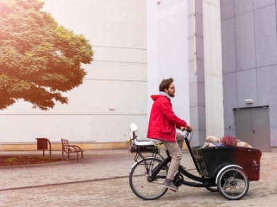 Bike Trailer Safety bike cargo trailer